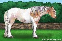 Horse Color:Nacre Silver Bay Ice Tobiano 