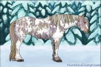 Horse Color:Nacre White Spotted Liver Chestnut Ice 