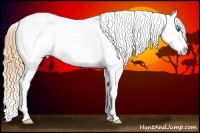 Horse Color:Gold Champagne Roan Dun Splash Tobiano Frame Appaloosa Rabicano