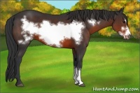 Horse Color:Brown Frame 