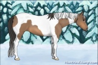 Horse Color:Buckskin Tobiano 