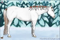 Horse Color:Red Dun Ice Tobiano Appaloosa 