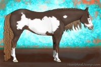 Horse Color:Liver Chestnut Frame 