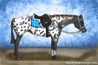 Horse Color:Black Near Leopard Rabicano