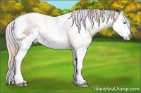 Horse Color:Nacre White Spotted Chocolate Palomino Pearl Sabino Splash 