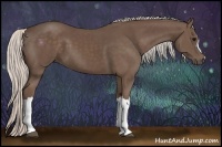 Horse Color:Silver Black 