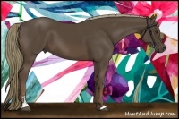 Horse Color:Liver Chestnut Sabino