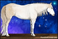 Horse Color:Perlino Sabino Brindle