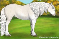Horse Color:Cremello Sabino  Brindle