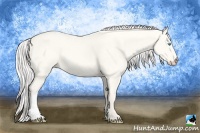 Horse Color:Silver Perlino Dun 
