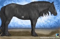 Horse Color:Black Splash Frame Brindle