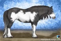 Horse Color:Black Splash Frame Brindle