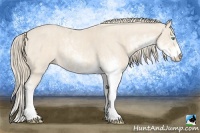 Horse Color:Perlino Sabino Brindle