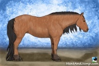 Horse Color:Bay  Brindle
