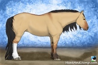 Horse Color:Bay Dun