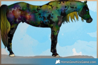 Horse Color:ERROR: UNKNOWN ANOMALY Brindle