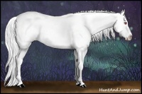 Horse Color:Blue Onyx Chinchilla Appaloosa