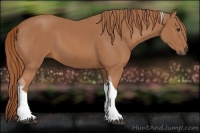 Horse Color:Chestnut Tobiano Rabicano 