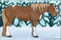Horse Color:Chestnut Tobiano Rabicano 