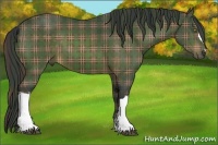 Horse Color:Plaid Bay