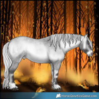 Horse Color:Silver Buckskin Chinchilla Roan Onyx 