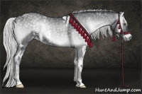 Horse Color:White Spotted Silver Smoky Blue Onyx Chinchilla Brindle