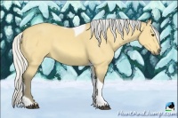 Horse Color:Silver Buckskin Dun Tobiano