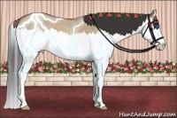 Horse Color:Buckskin Roan Dun Splash 