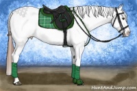 Horse Color:Red Roan Appaloosa 
