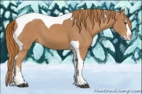 Horse Color:Chestnut Splash Tobiano