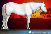 Horse Color:White Spotted Liver Chestnut Pearl Snowflake Varnish Brindle