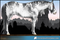 Horse Color:White Spotted Blue Onyx Chinchilla Mushroom Sabino and White Spotted Blue Onyx Chinchilla Mushroom Sabino
