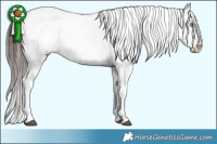 Horse Color:Liver Chestnut Near Fewspot  and Liver Chestnut Near Fewspot 