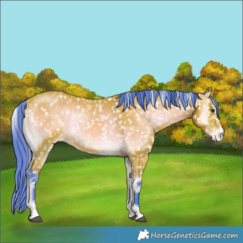 Horse Color:Watercolor Bay Onyx Snowflake Varnish Brindle