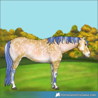 Horse Color:Watercolor Bay Onyx Snowflake Varnish  Brindle
