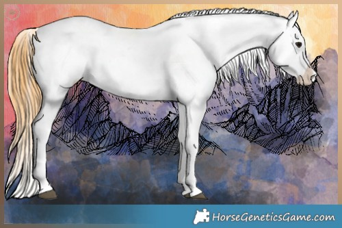 Horse Color:Buckskin Onyx Appaloosa  and Buckskin Onyx Appaloosa 