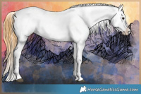 Horse Color:Buckskin Onyx Appaloosa and Buckskin Onyx Appaloosa