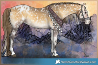 Horse Color:Buckskin Onyx Snowflake Varnish  and Buckskin Onyx Snowflake Varnish 