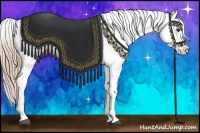 Horse Color:Chestnut Blanket  and Chestnut Blanket 