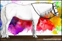 Horse Color:Palomino Appaloosa Brindle