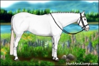 Horse Color:White Spotted Chestnut Appaloosa  and White Spotted Chestnut Appaloosa 