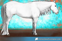 Horse Color:Buckskin Onyx Blanket  and Buckskin Onyx Blanket 