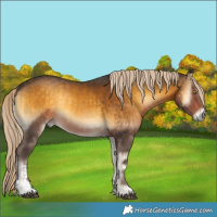 Horse Color:Chocolate Palomino Onyx Mushroom  and Chocolate Palomino Onyx Mushroom 