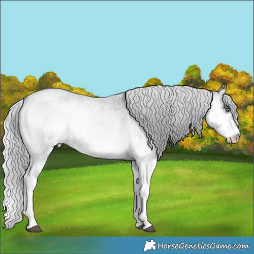 Horse Color:Silver Blue Onyx Chinchilla Roan Sabino Splash  Brindle