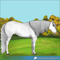 Horse Color:Silver Blue Onyx Chinchilla Roan Sabino Splash Brindle