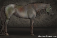 Horse Color:Liver Chestnut  Brindle