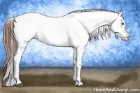 Horse Color:Chestnut Snowflake Varnish  Brindle