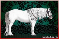 Horse Color:Brown Snowcap  and Brown Snowcap 