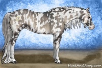 Horse Color:Blue Onyx Sabino Frame Near Leopard  Brindle