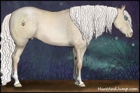 Horse Color:White Spotted Silver Buckskin Pearl Sabino and White Spotted Silver Buckskin Pearl Sabino
